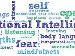 Introducing Emotional Intelligence
