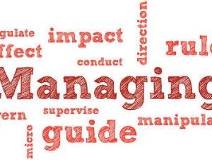 Management Styles